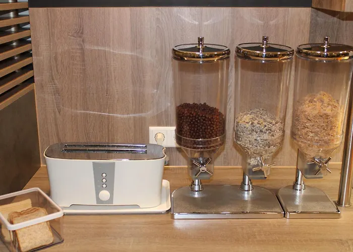 آم فوجيلسانجر ويج فندق دوسلدورف